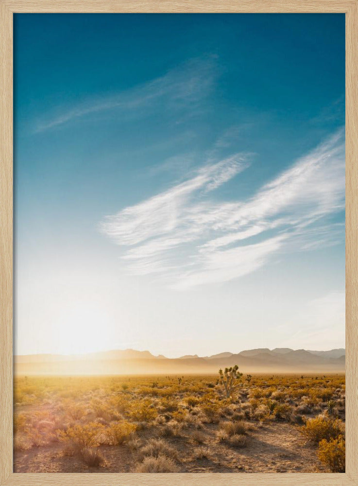 Nevada Desert Sunrise | Poster