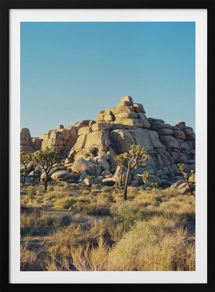 Joshua Tree Sunset | Poster