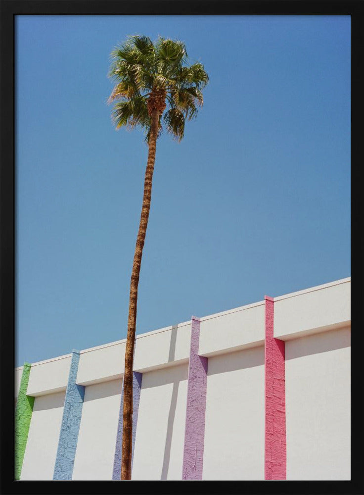 Palm Springs II | Poster