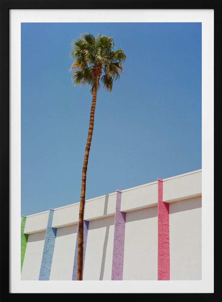 Palm Springs II | Poster