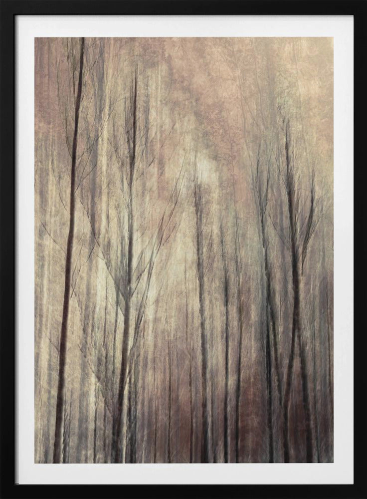 Fall forest | Poster
