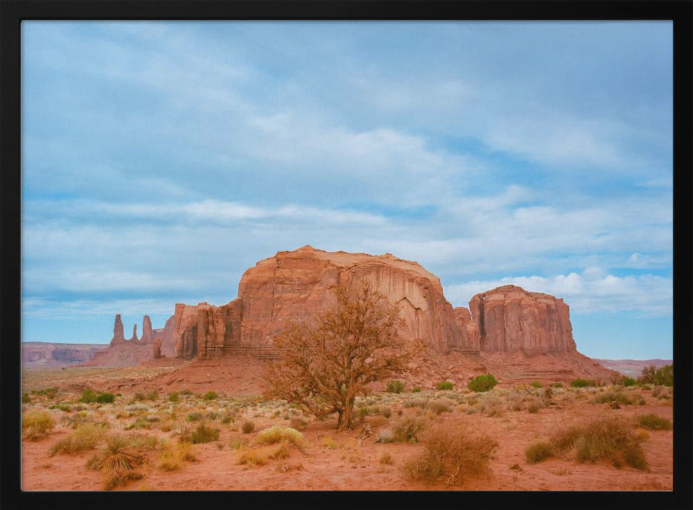 Monument Valley IX | Poster