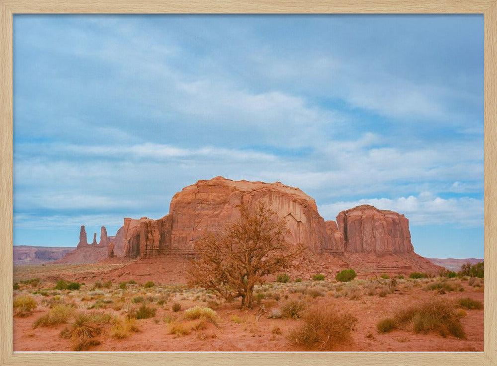 Monument Valley IX | Poster