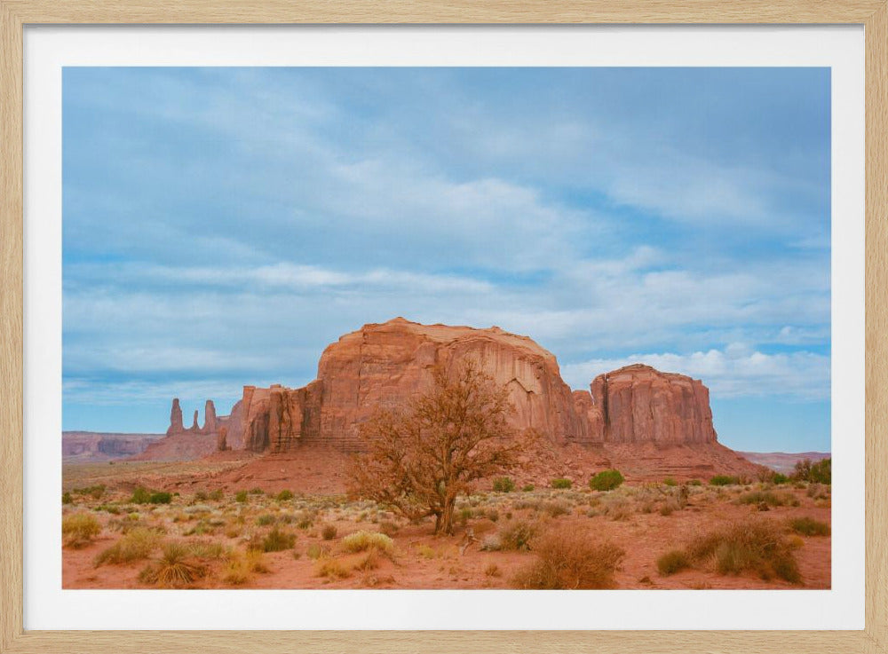 Monument Valley IX | Poster