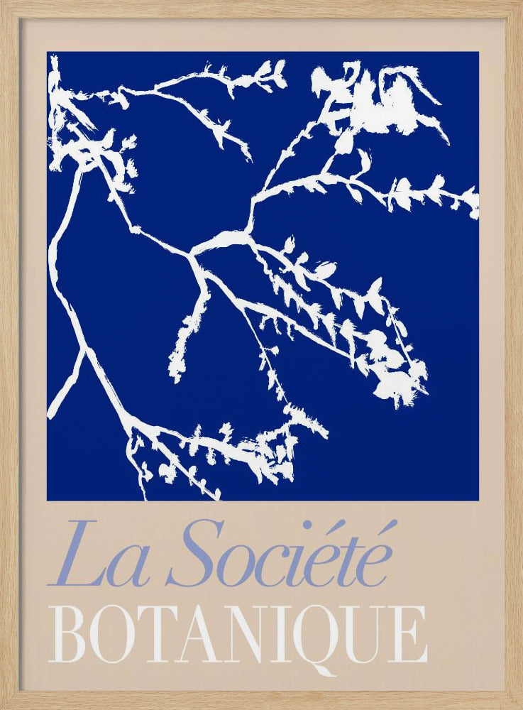 La Société Botanique White Flower 2 | Poster