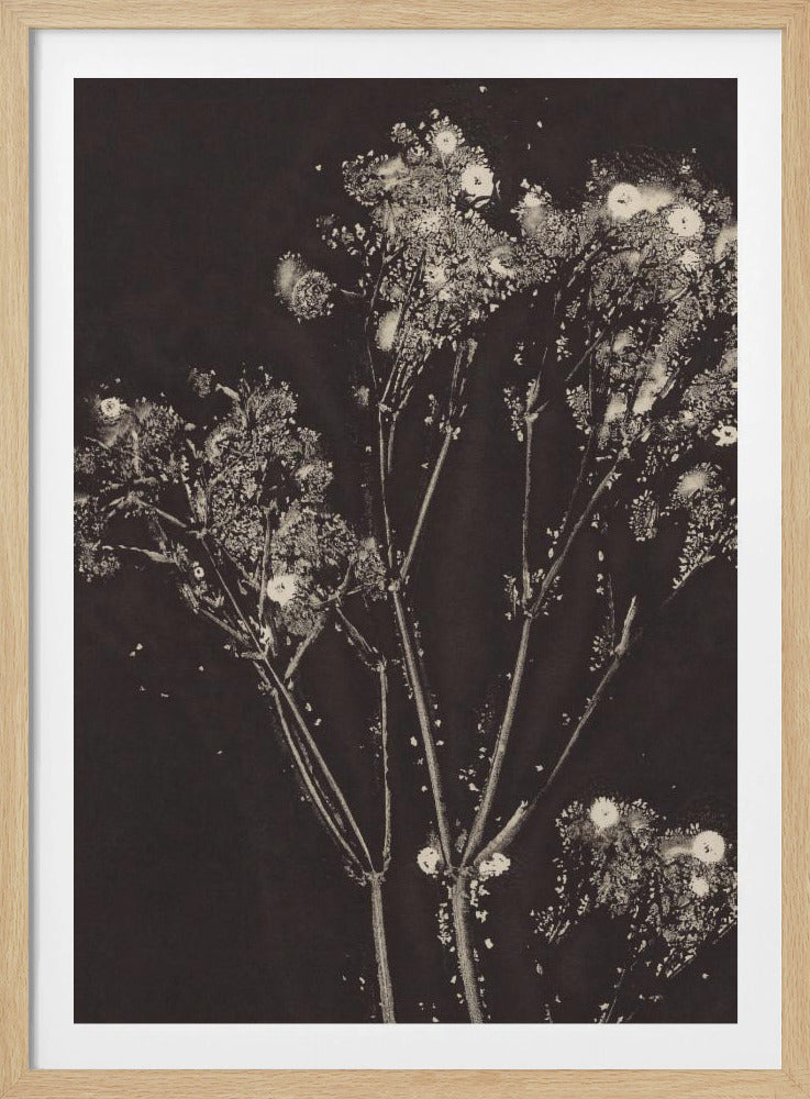 Floral Whispers | Poster