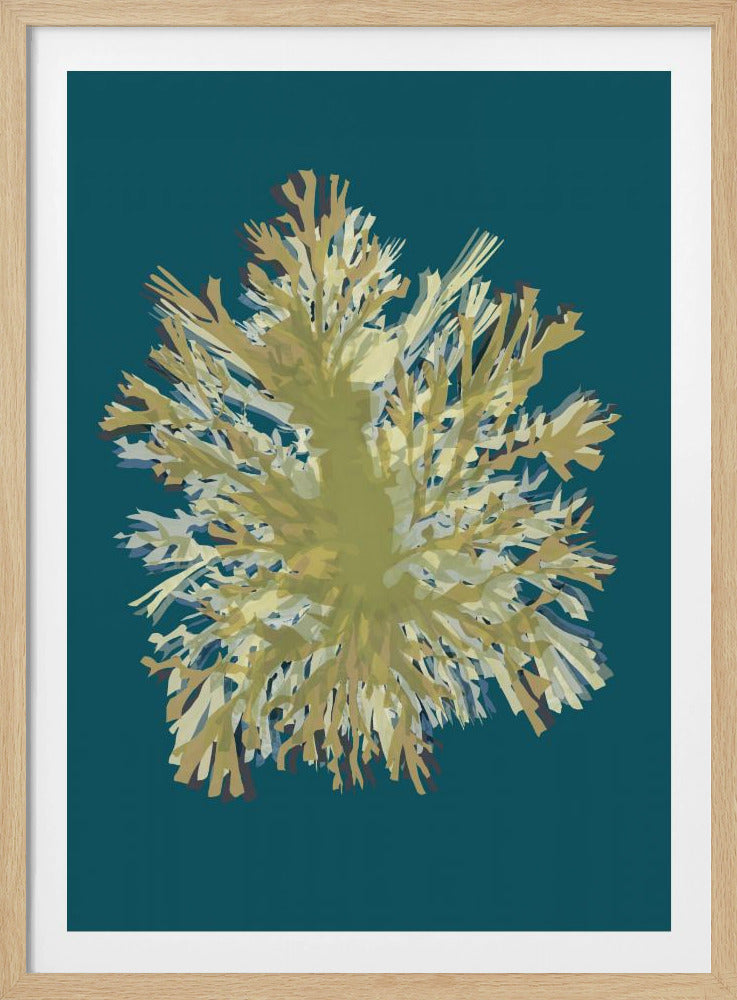 Seaweed Poster 1 | Poster