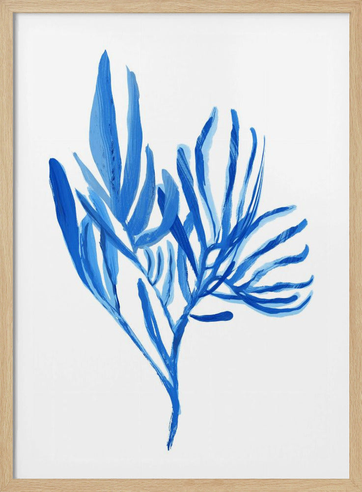 Blue Aquatice Plant Poster 5 | Poster