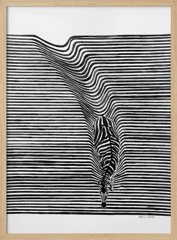 Zebra in het veld | Poster
