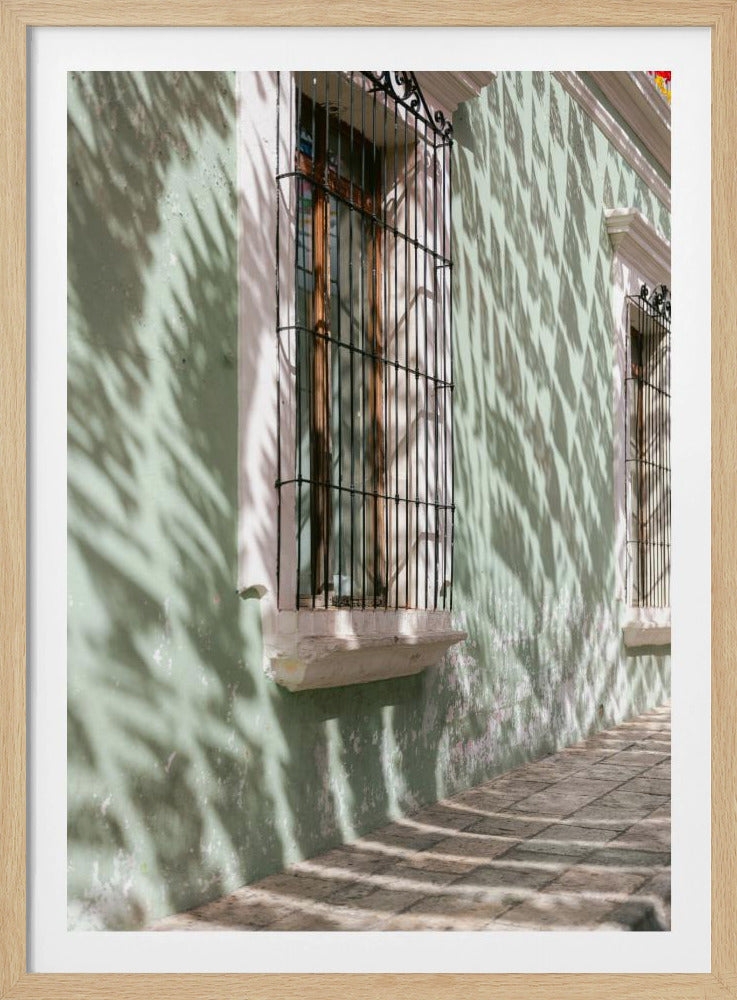 Greens of Oaxaca | Mexico travel photography | Poster