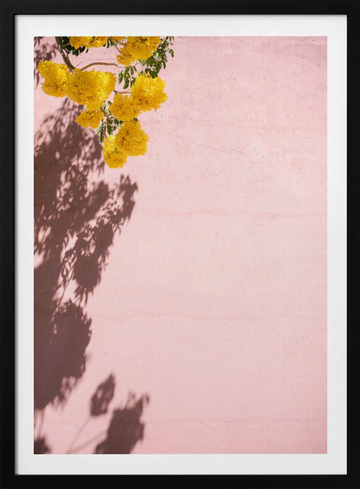Yellow and Pink | Oaxaca Mexico | Poster