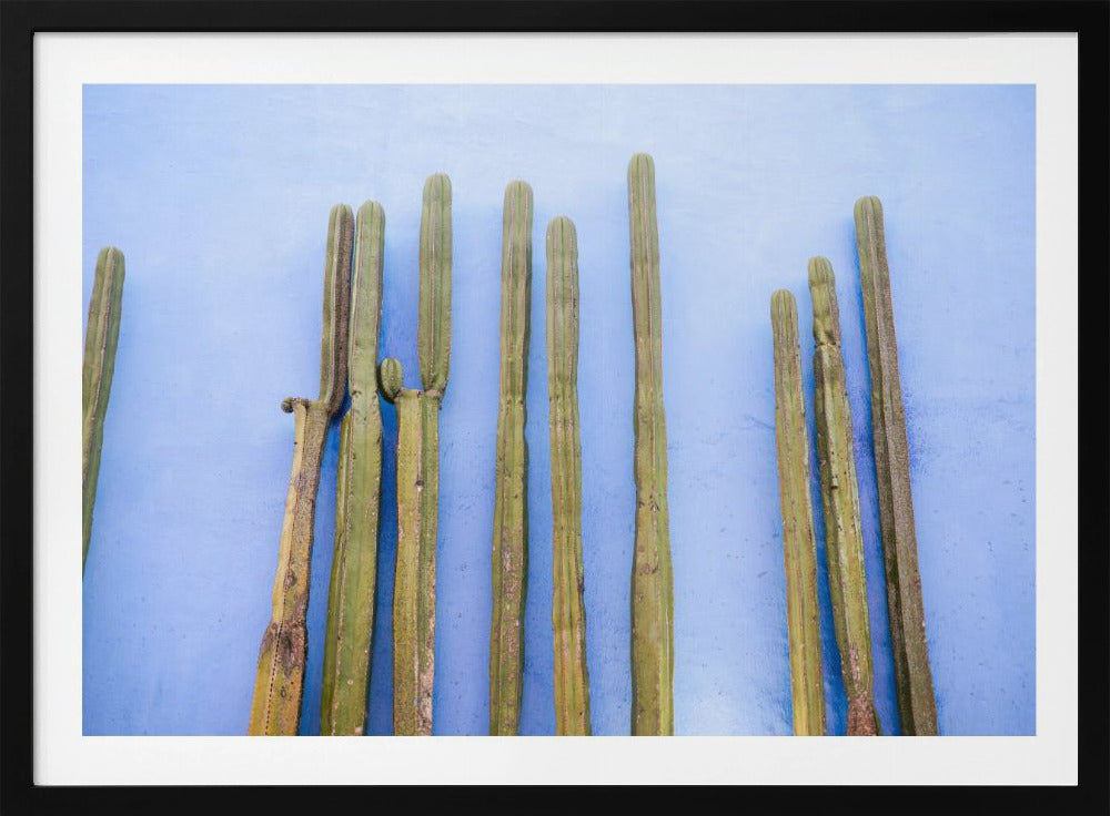 Tall Cacti on Blue | Oaxaca Mexico Travel | Poster