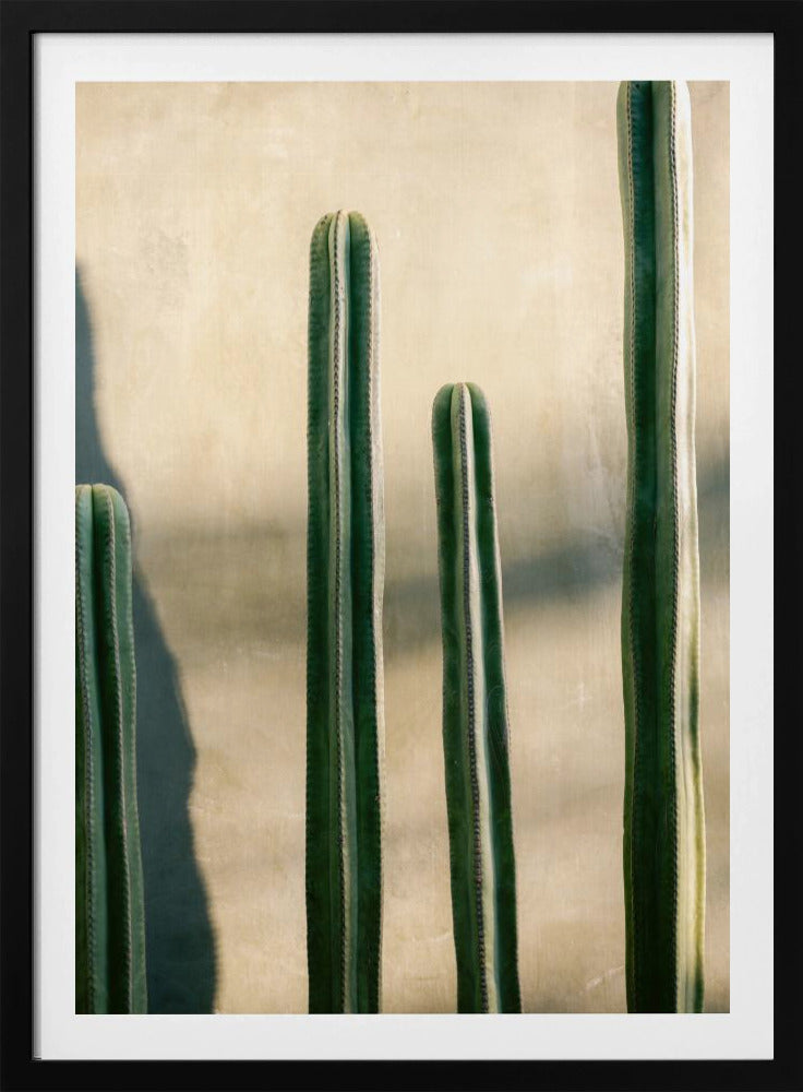 Oaxaca Shades of Green | Mexico travel photography | Poster