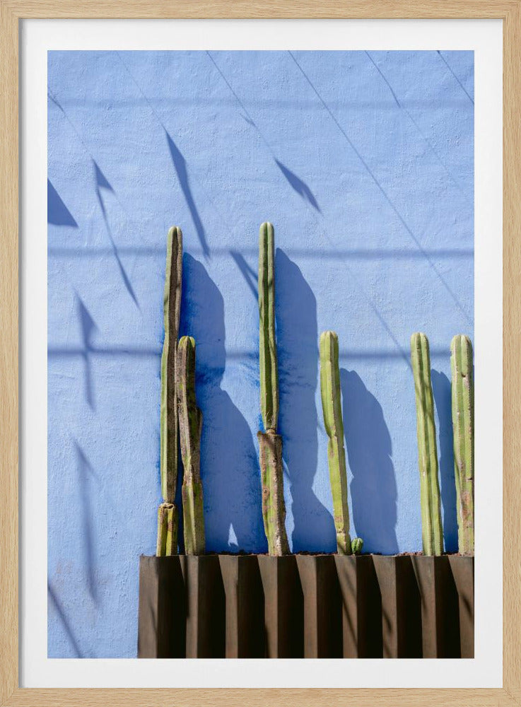 Tall Cacti | Oaxaca Mexico travel photography | Poster