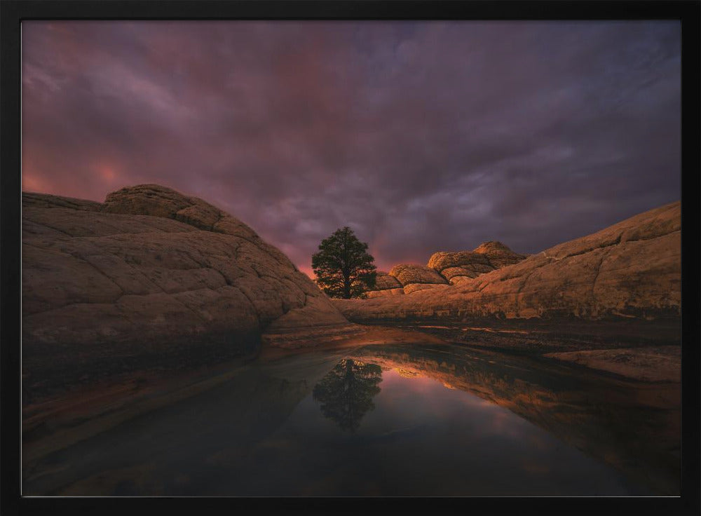 Morning Light | Poster