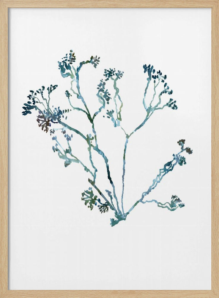 Delicate Blue Flowers 2 | Poster