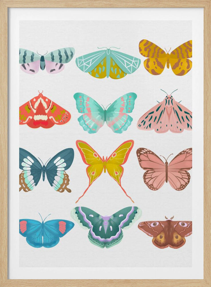 Butterfly | Poster