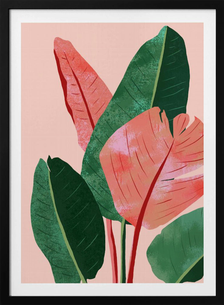 Blush Tropical | Poster