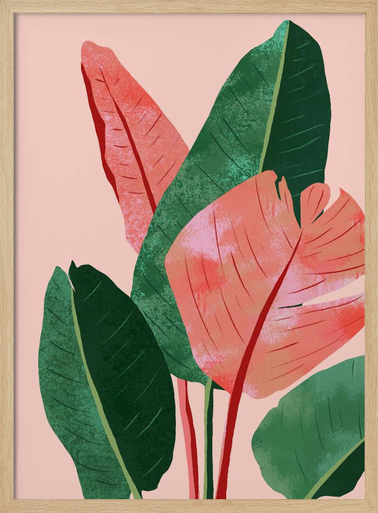Blush Tropical | Poster