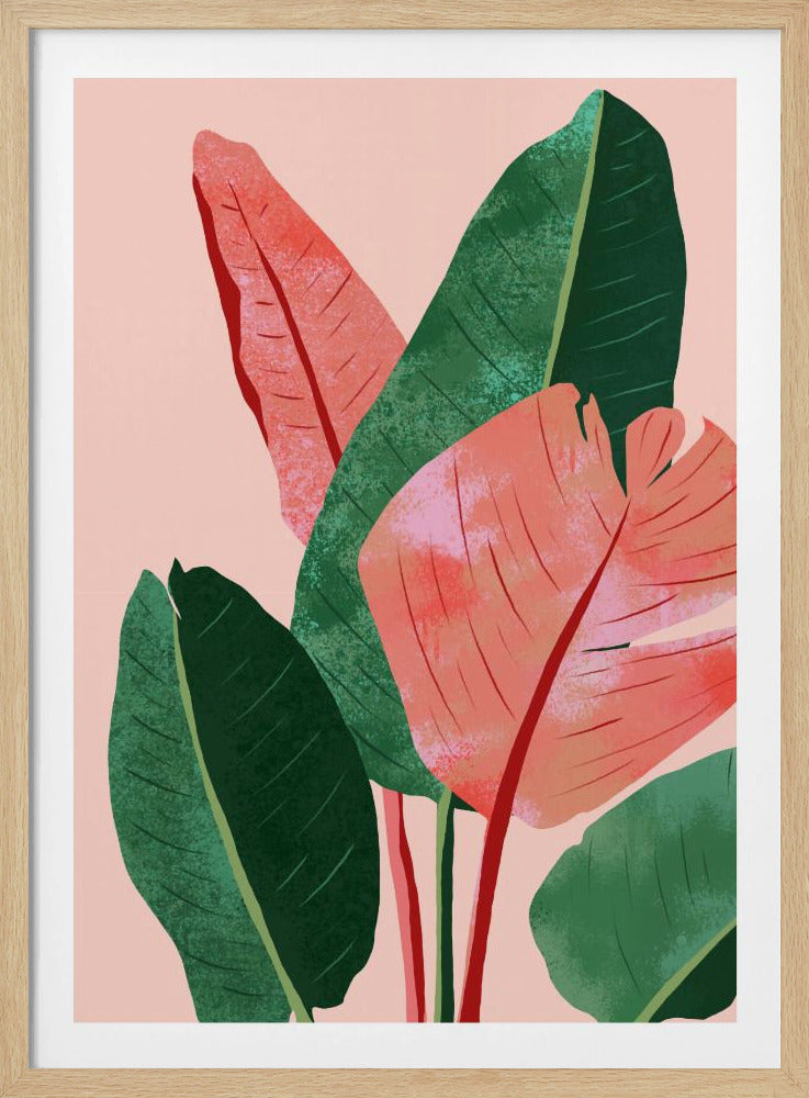 Blush Tropical | Poster