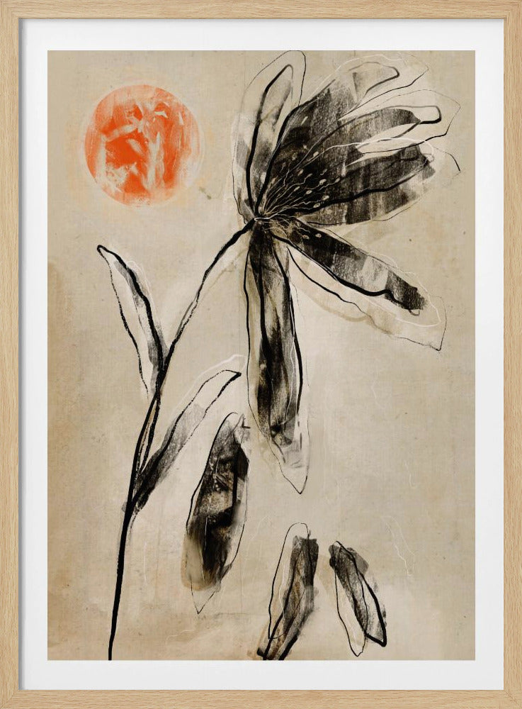 Shadowed Bloom | Poster