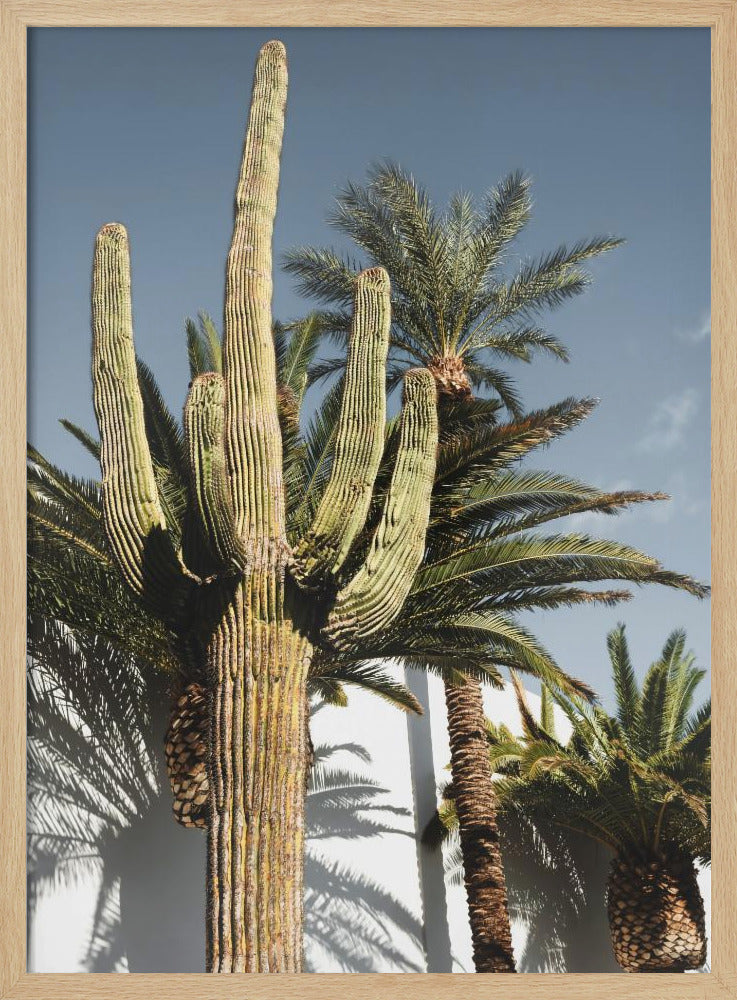 Cactus Las Vegas | Poster