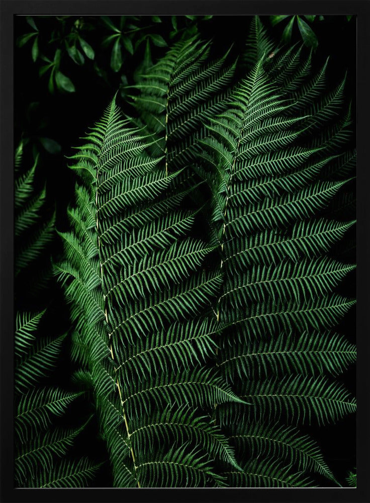 Dark Leaves 16 | Poster