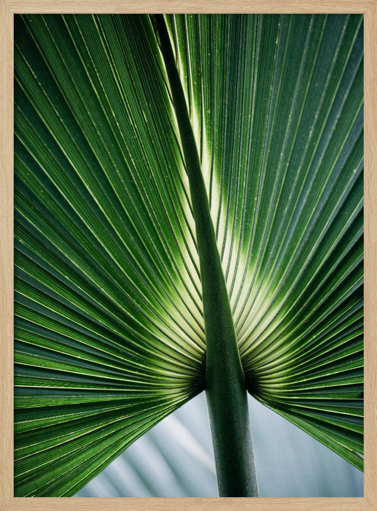 Leaves 12 | Poster