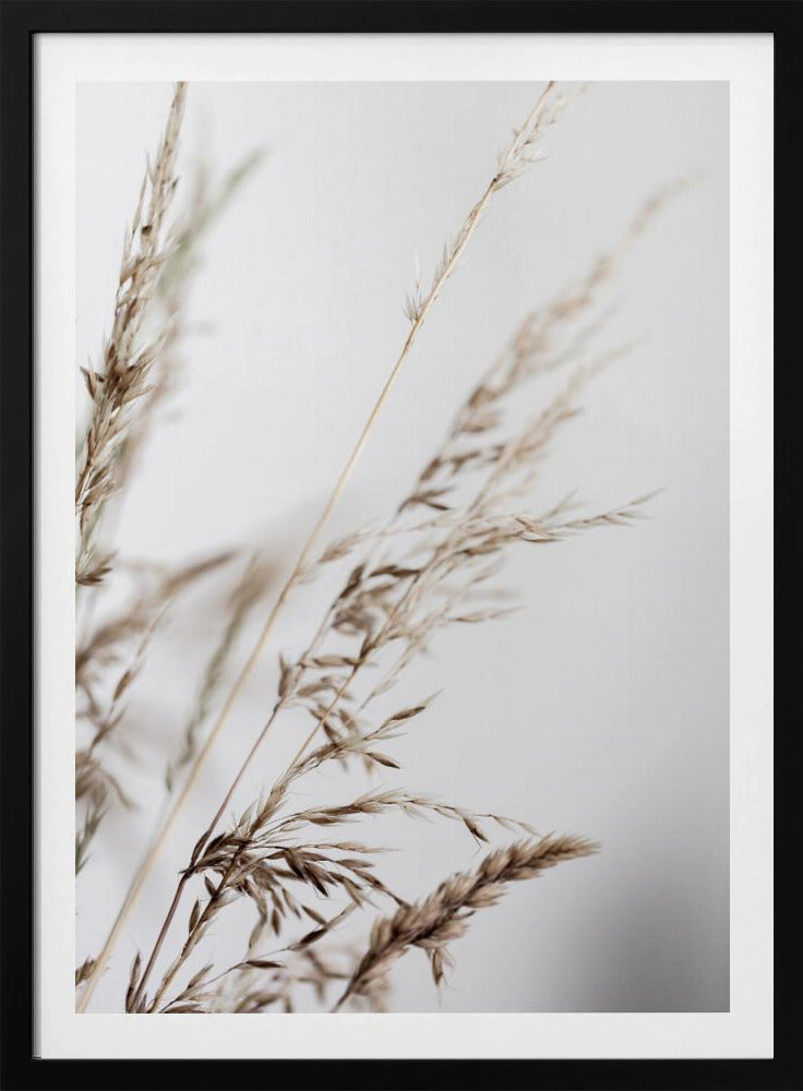 Summer Grass 2 | Poster