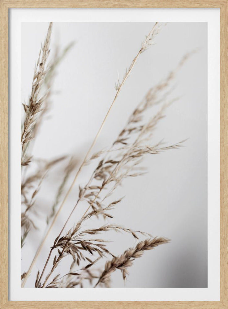 Summer Grass 2 | Poster