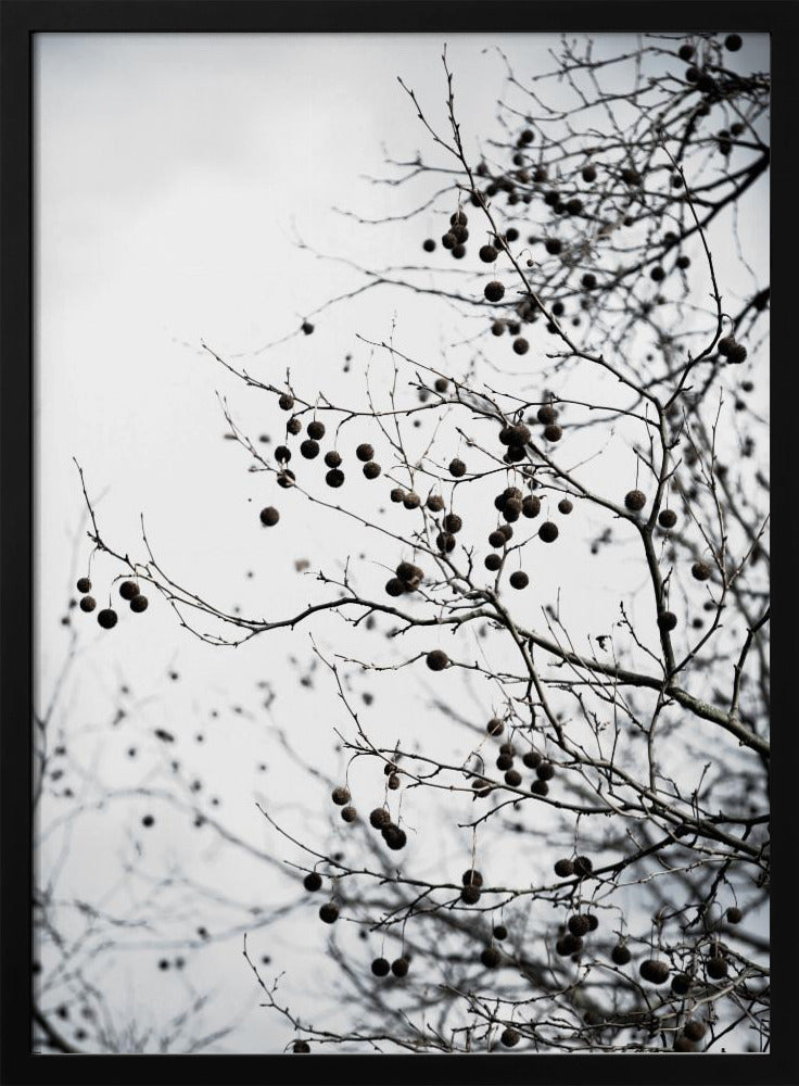 Winter Silhouettes 6 | Poster