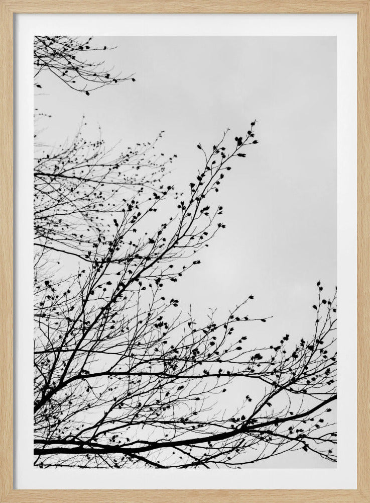Winter Silhouettes 7 | Poster