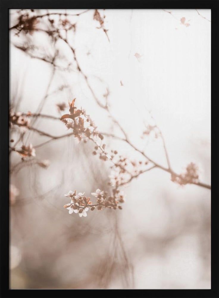 Last Spring 3 | Poster