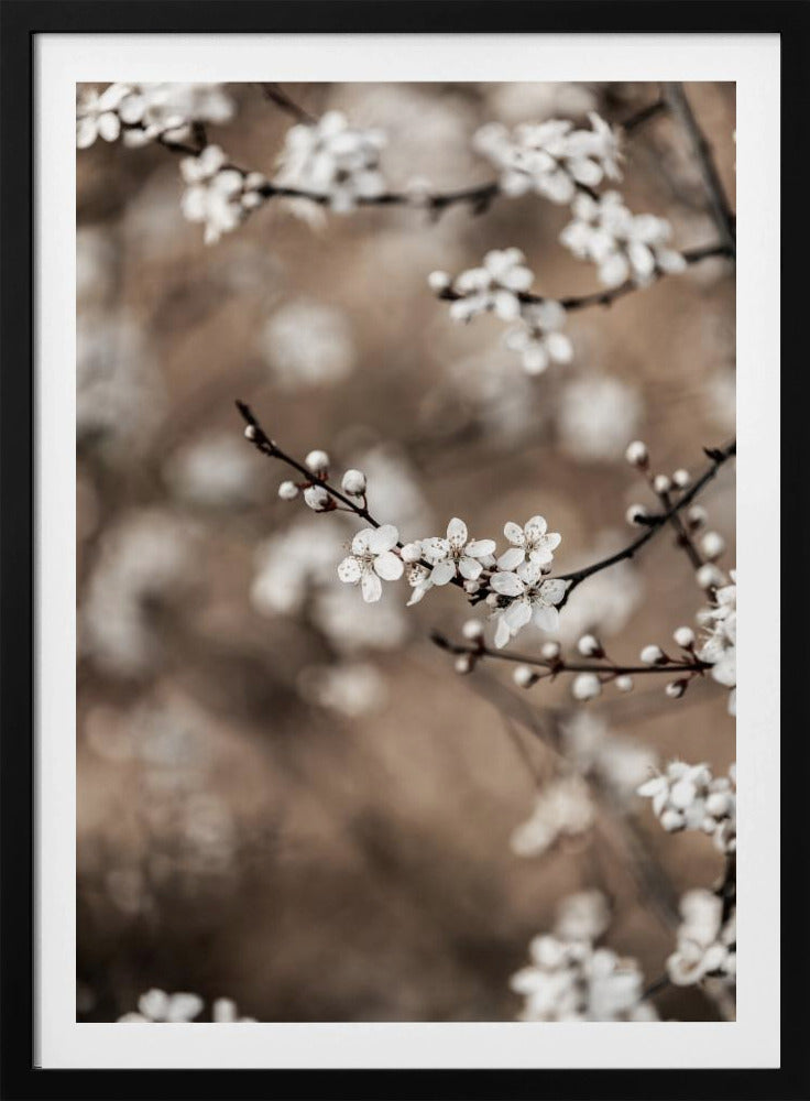 Last Spring 1 | Poster