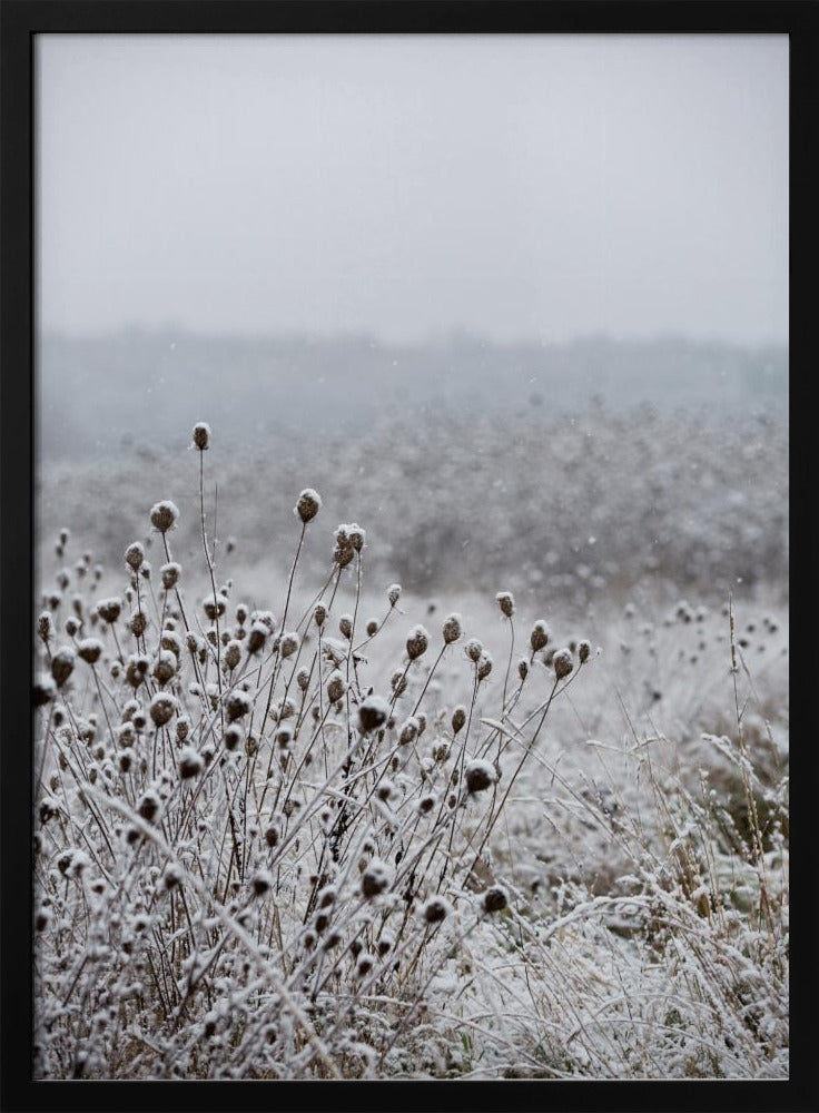 Winter Field 4 | Poster