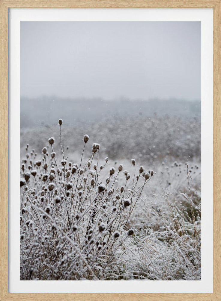 Winter Field 4 | Poster