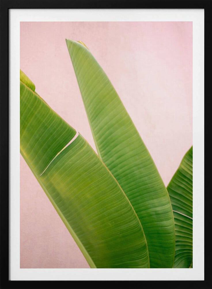 Merida Green on Pink | Poster