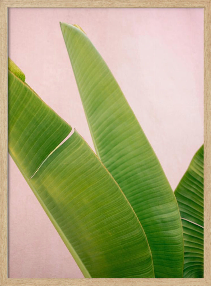 Merida Green on Pink | Poster