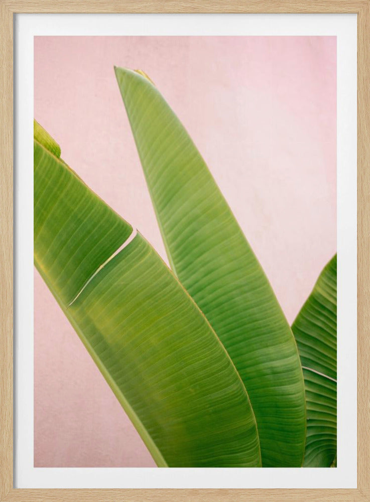 Merida Green on Pink | Poster