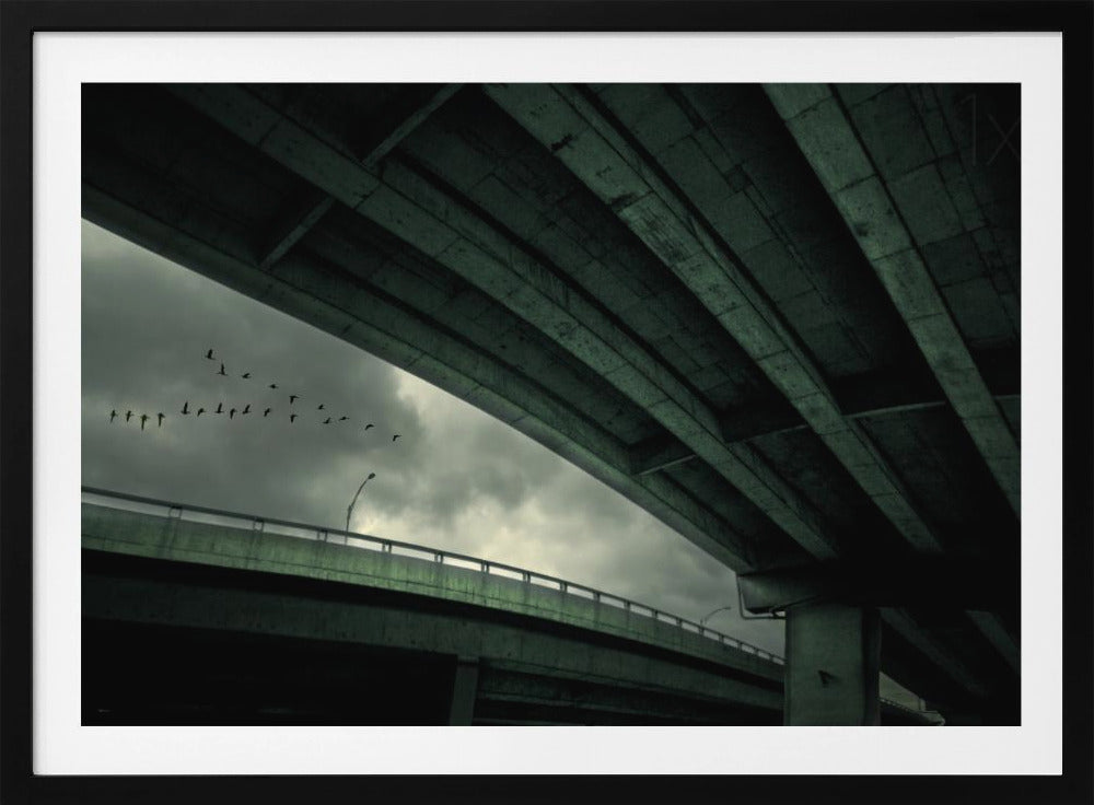 Last Flight | Poster