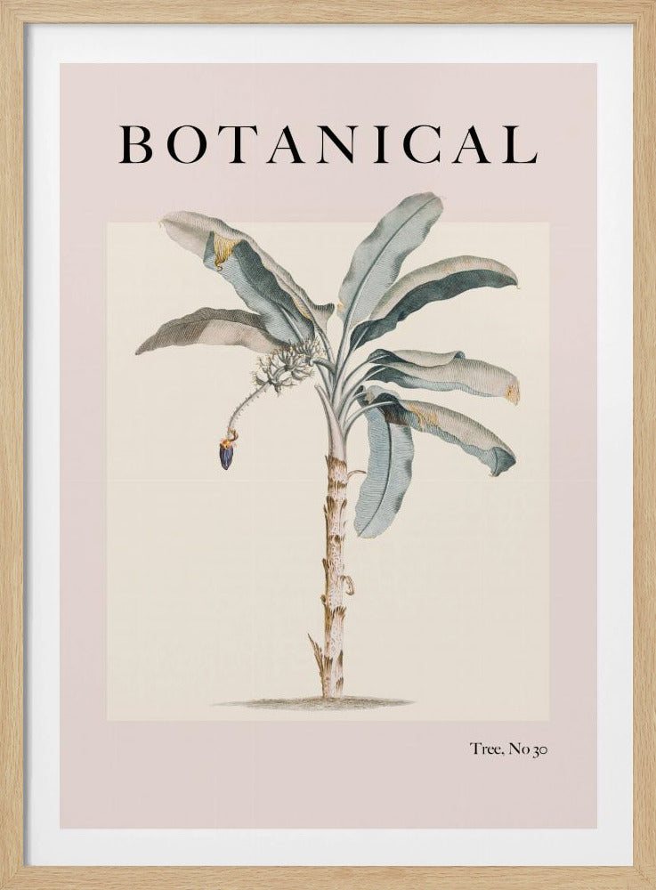 Botanicalno30 Ratioiso | Poster