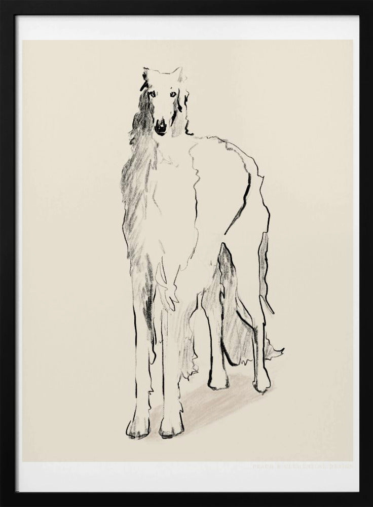 Borzoi Russian Wolfhound Pandc | Poster