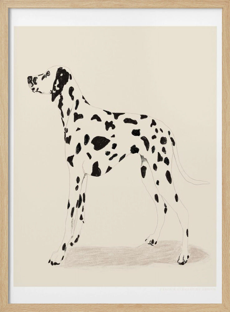 Pandc Dalmation | Poster