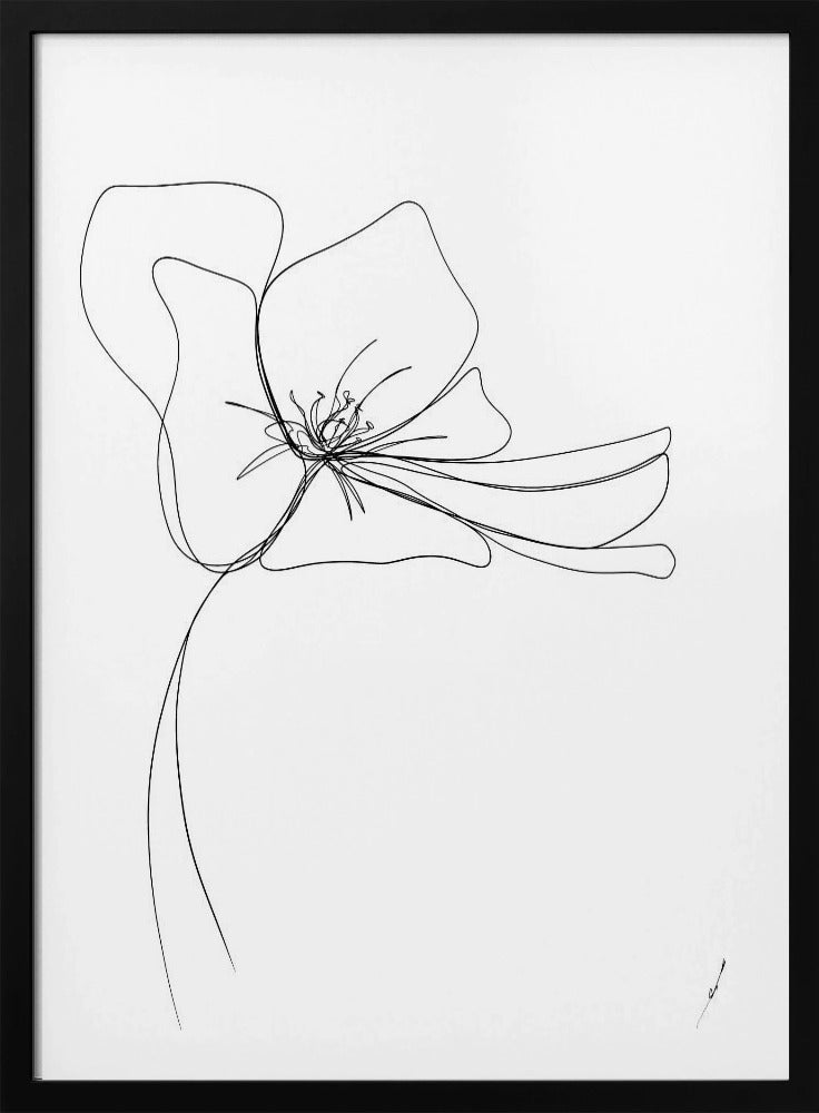 Whimsical Bloom | Poster