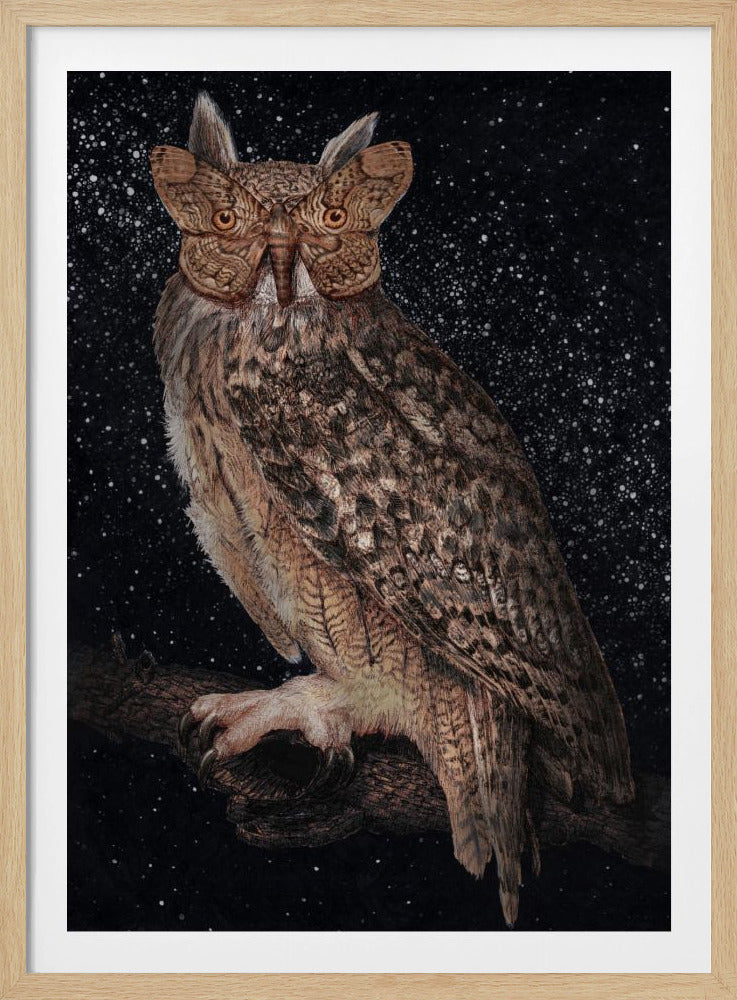 Camouflage and Stars Colour | Poster