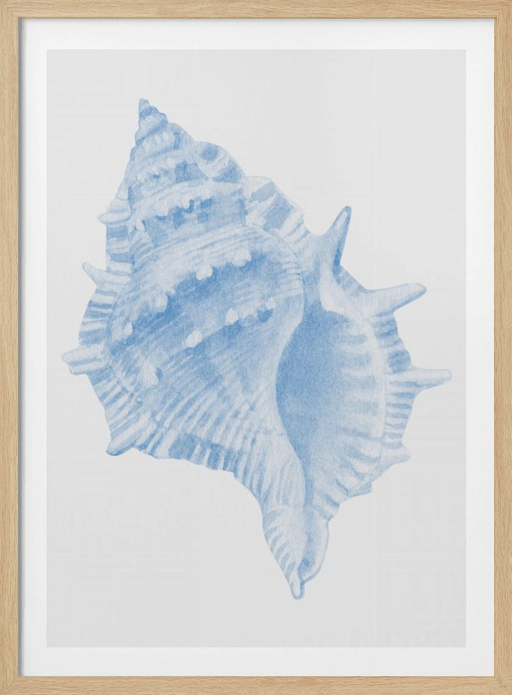 One Blue Conch | Poster