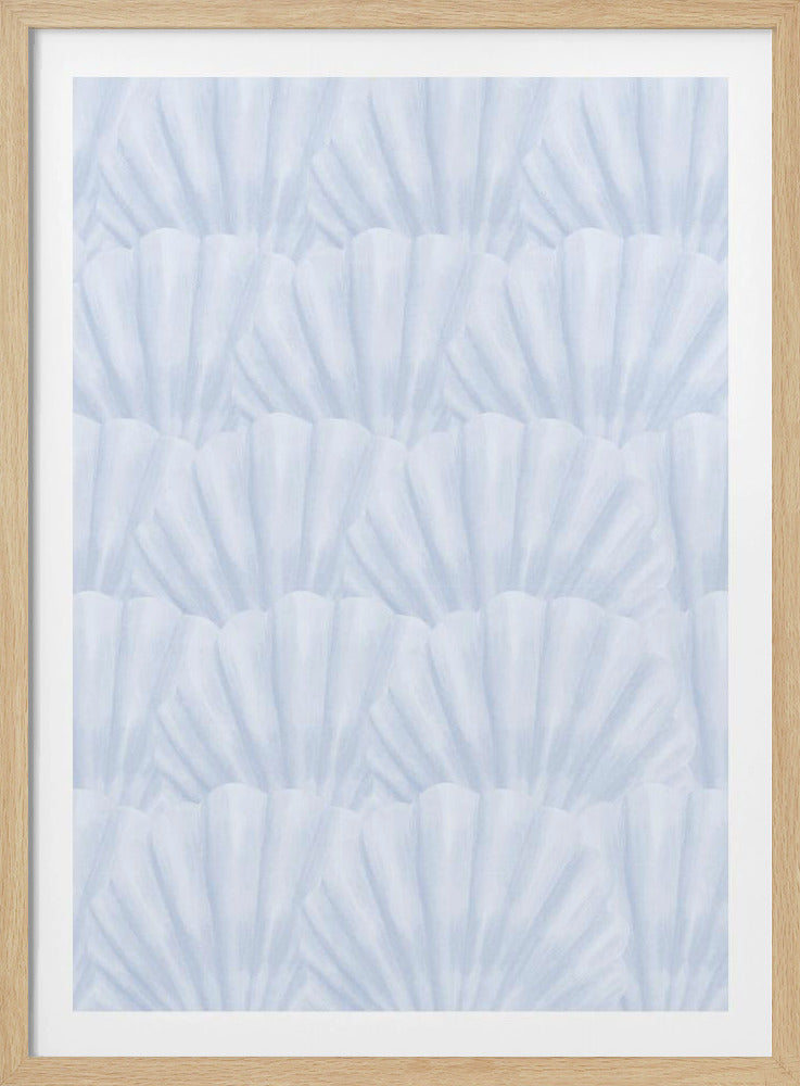 Seashells | Poster