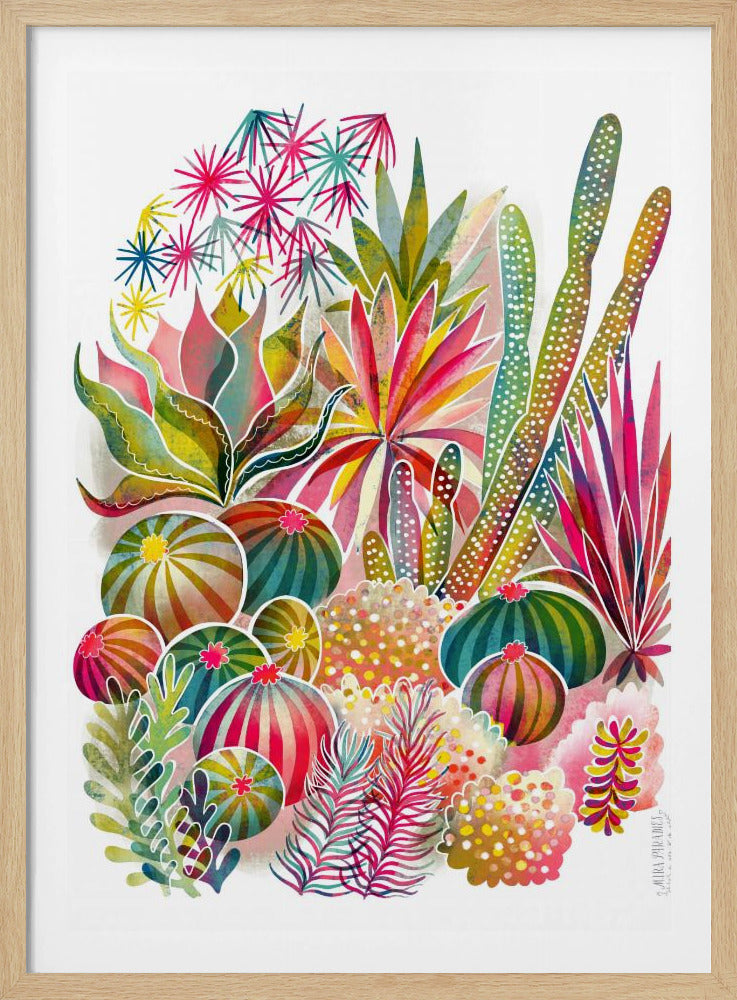 Flowering Succulent And Cacti Garden | Poster