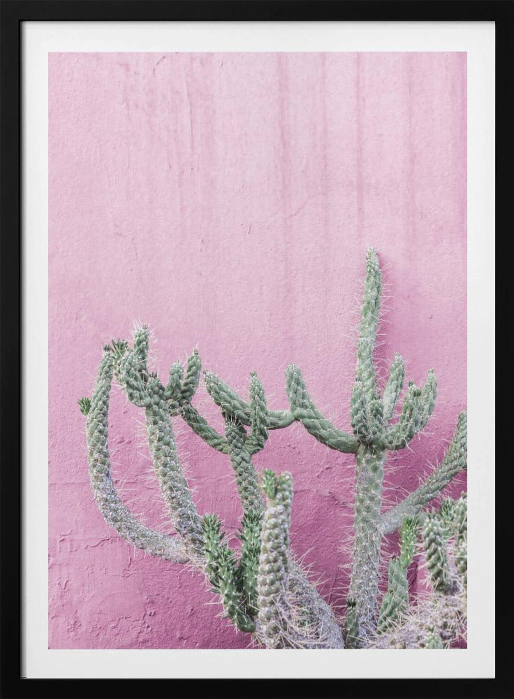 Cactus On Pink | Poster