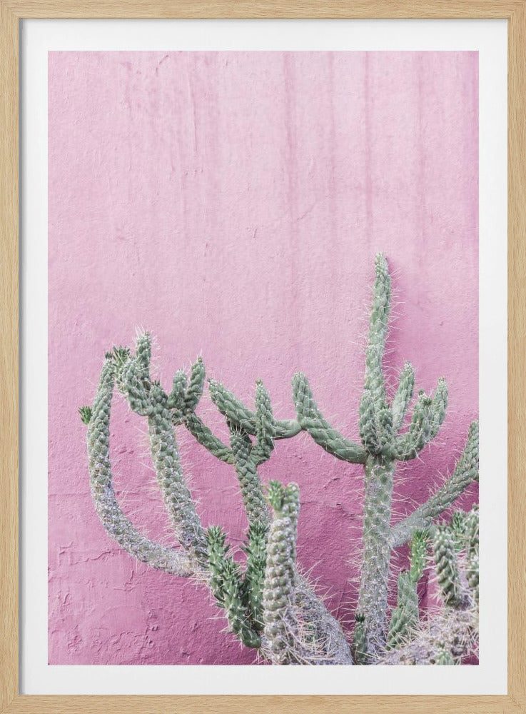 Cactus On Pink | Poster